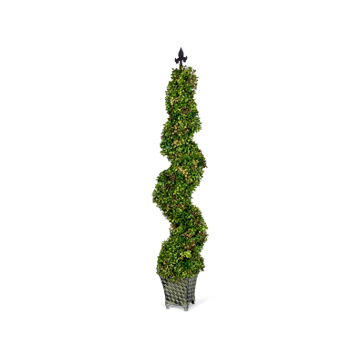УТ-00001135