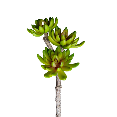 DS-31035_1