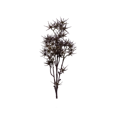 02000003928