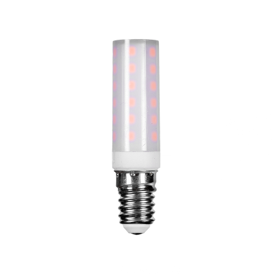 DS-30624 E14 0.5W
