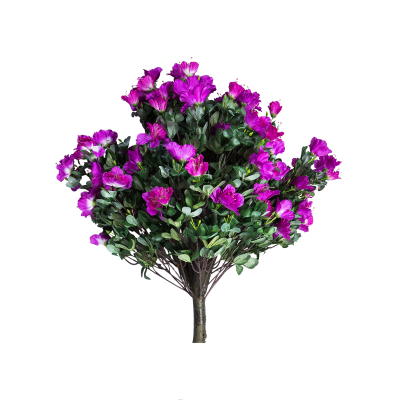 УТ-00003026