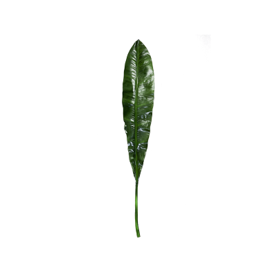 УТ-00006412