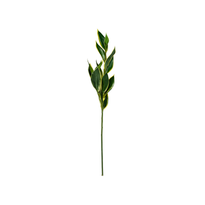 УТ-00006418