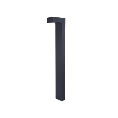 02000003169