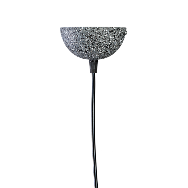 DS-31101 (2)