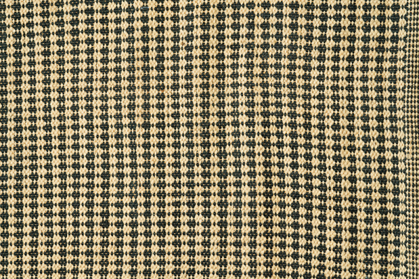 DS-31424 (2)