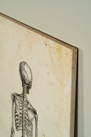 картина skeleton 104х114 фотопечать