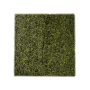трава искусственная peperomia 100х100