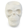 кашпо scull белое гипсовое