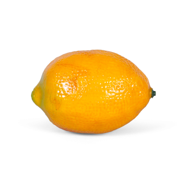 УТ-00003167_12