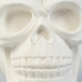 кашпо scull белое гипсовое