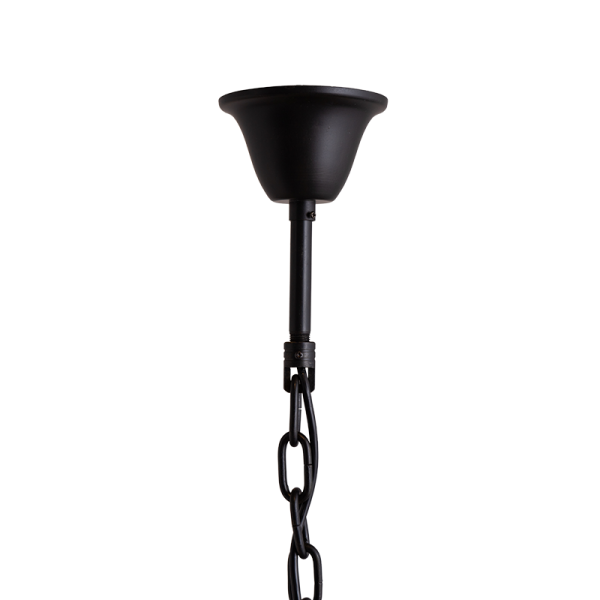 DS-CB207725_2