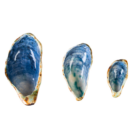 декор triple oyster shell в цвете морская волна, бежевый с коричневым, керамика ручной работы